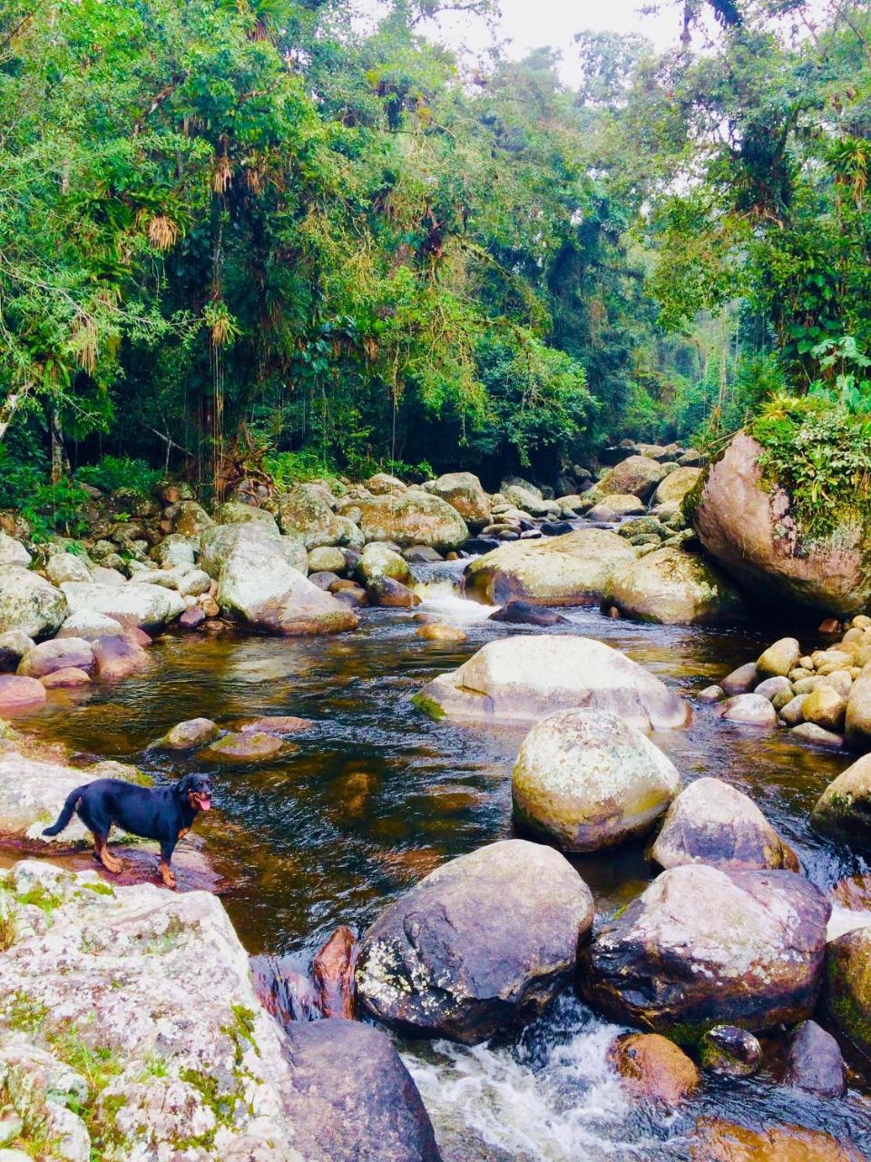 Eco Chales Caminho Das Aguas Barra Grande  Exterior photo